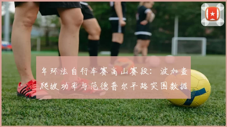 年环法自行车赛高山赛段：波加查爬坡功率与范德普尔平路突围数据对比